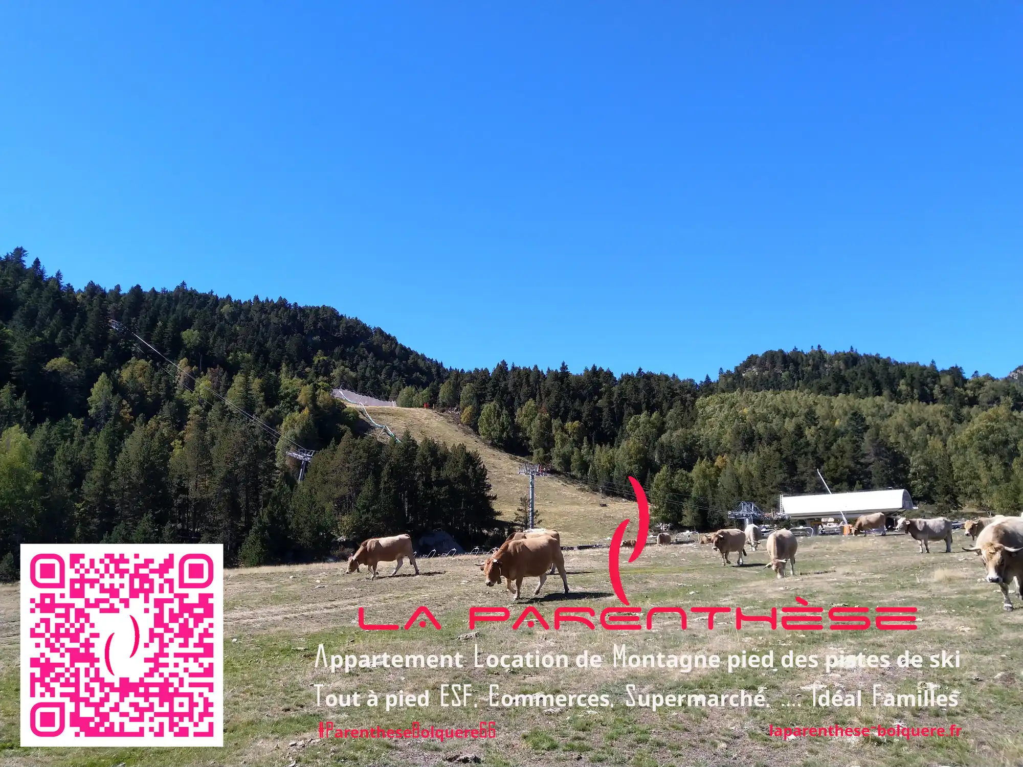 Réservation appartement séjour vacances week end ski montagne Pyrénées 2000 Bolquère Superbolquere 66210